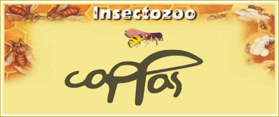 InsetoZoo