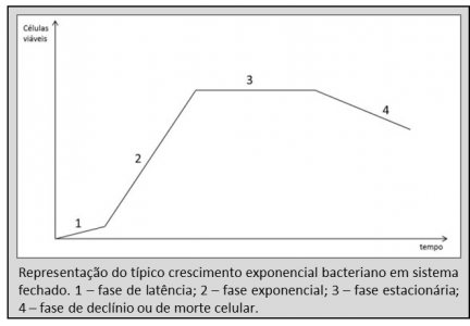 crescimento-bacteriano-01