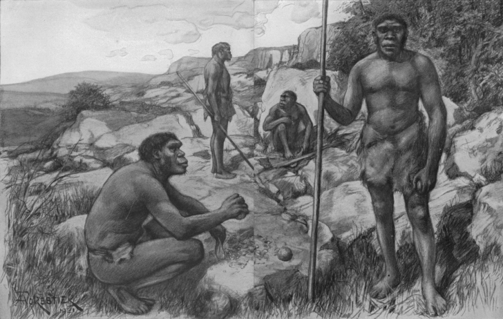 Homo-Neandert