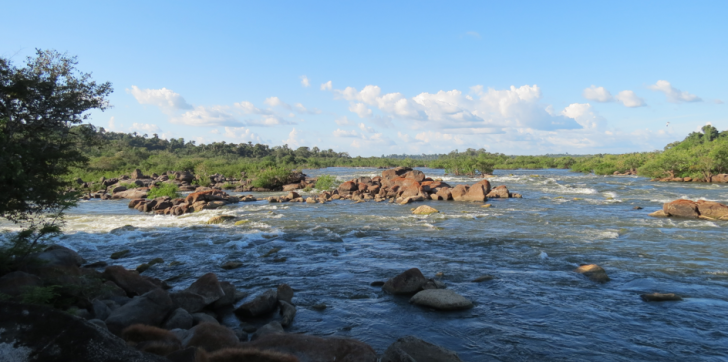 xingu