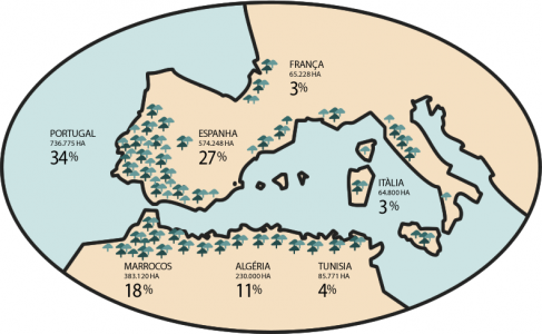 Mapa de localização do montado. Fonte: APCOR