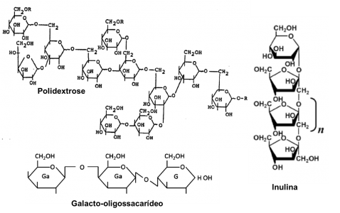 Estrutura química de três prebióticos: polidextrose, galacto-oligossacarídeo e inulina. Adaptado de Konar et al. (2016).  