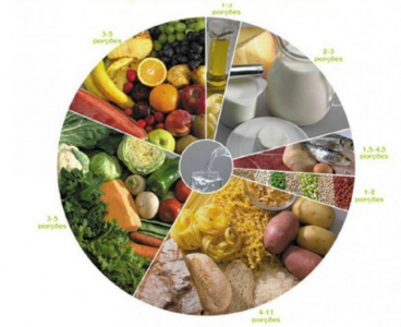 Figura 1 – A roda dos Alimentos. Adaptado da APN.