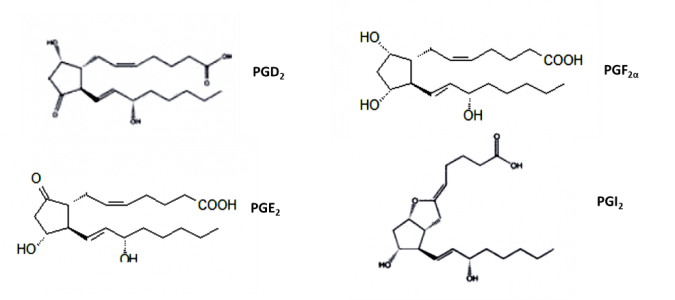 Figura 1 - Estrutura das principais moléculas de prostaglandinas