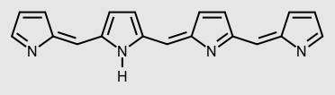 Figura 1- Uma molécula de tetrapirrol forma uma bilina.