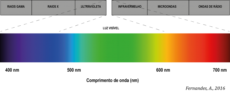 A: Espectros de absorção dos principais grupos de pigmentos. B
