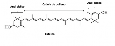 Figura 1 – Estrutura química da luteína