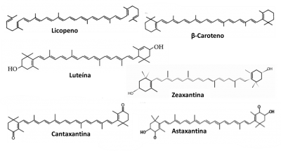 Figura 1 – Representação da estrutura molecular do licopeno e de outros carotenóides para comparação, como o β-caroteno, a luteína, a zeaxantina, a cantaxantina e a astaxantina.