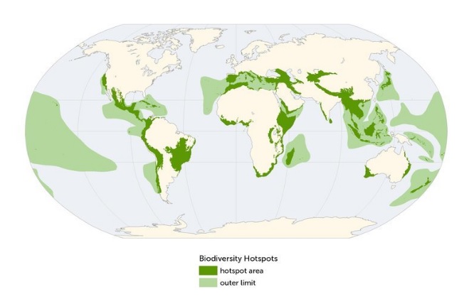 Fig. 1 - Mapa com a identificação dos hotspots de biodiversidade (Mittermeier RA, Turner WR, Larsen FW, Brooks TM, Gascon C (2011) Global biodiversity conservation: the critical role of hotspots. In: Zachos FE, Habel JC (eds) Biodiversity hotspots: distribution and protection of conservation priority areas. Springer, Heidelberg)