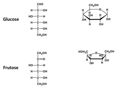 Figura 2 – Comparação entre a forma linear (projeção de Fisher) e a forma em anel dos monossacarídeos glucose e frutose