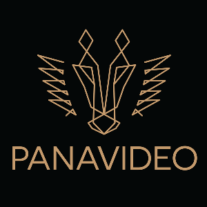 Logo Panavideo