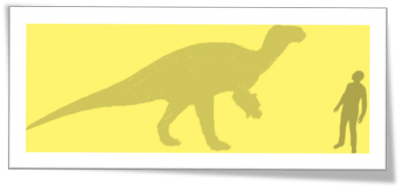 Iguanodonte