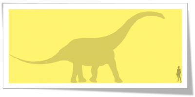 Quaesitosaurus