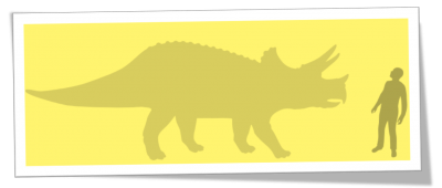 Triceratops