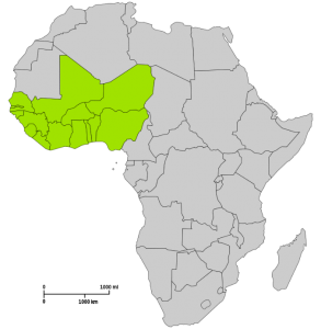 cedeao-ecowas-1