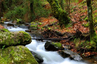 Rio na Serra da Lousã