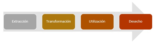 economia-linear