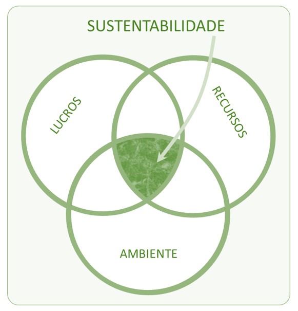 Chief Sustainable Officer (CSO)