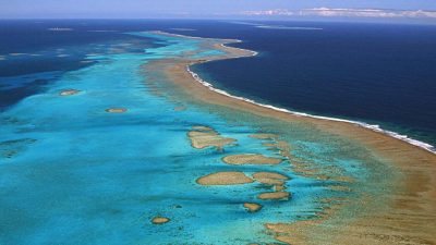 lista ranking top-5 maiores barreiras de corais do mundo maiores recifes de corais do mundo
