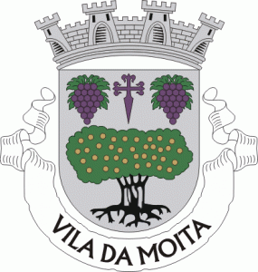 Moita