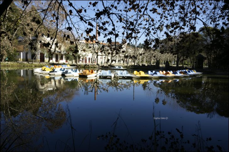 Termas da Curia