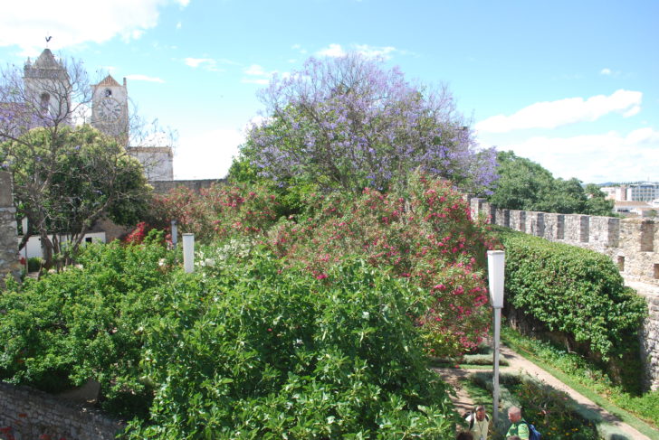 Castelo de Tavira