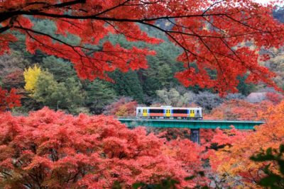 maiores prefeituras japonesas em superfície