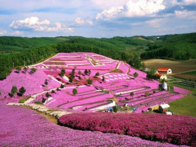 prefeituras mais populosas do japão