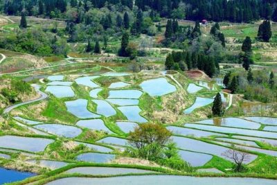 maiores prefeituras japonesas em superfície