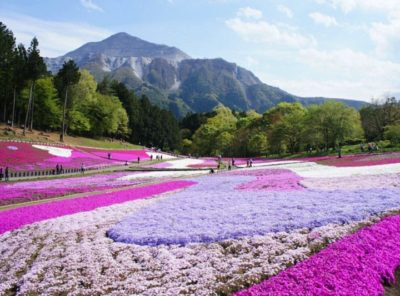 prefeituras mais populosas do japão