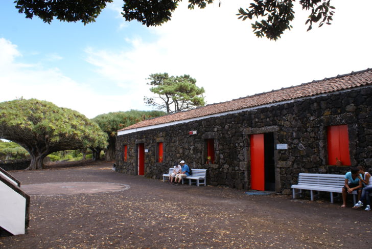 Museu do Vinho do Pico